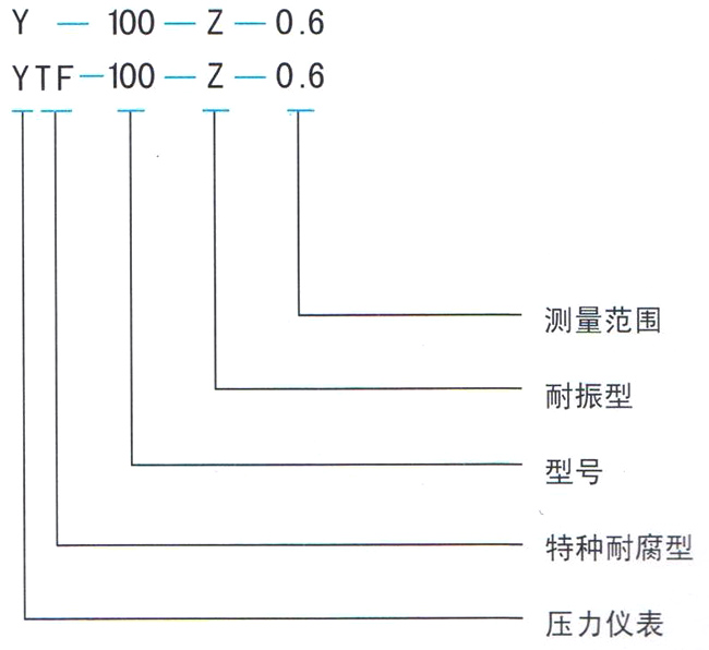 Y-Z系列耐振壓力表/YTF-Z系列全不銹鋼耐振壓力表